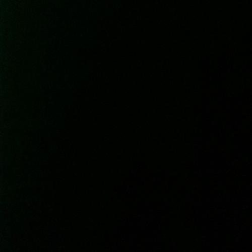 CFxtzpatrick's profile picture. Get me to 100k