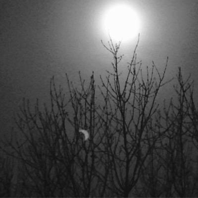 BlogsVlogs's profile picture. On here I will be doing blogs and vlogs and if you have anything you want to show me just add #blogs_vlogs to your tweets or dm on instagram at blogs_vlogs