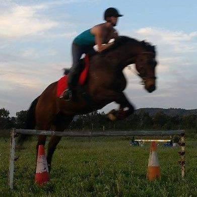 cdc8bcba71fc4df's profile picture. 