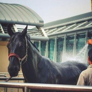 sarahfr__'s profile picture. ‏‏‏‏‏استغفرالله واتُوب إليه.