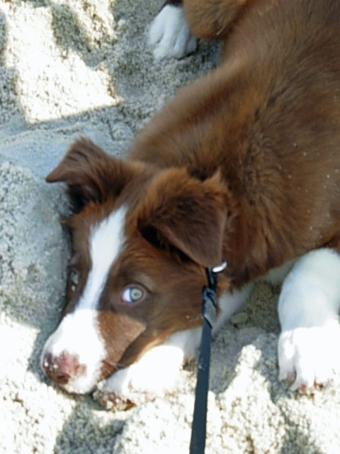 klewis700's profile picture. 