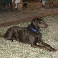 Charlie Faust (@chasfaust) 's Twitter Profile