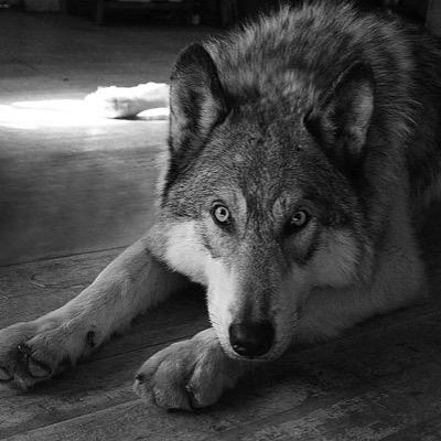 'The Broken and Mad Are the Best friends you could have The Sad and Despressed are The Most Understanding The Happy are the saddest.' {RP}