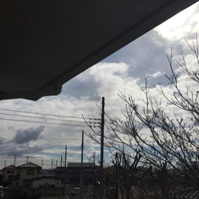 kurasan0303's profile picture. 興陽→社会人