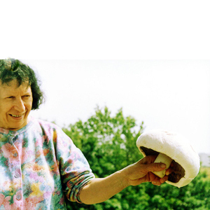 underskog's profile picture. Talerøret til dama med soppen.