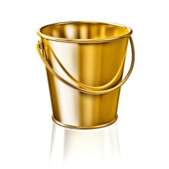Roblox Winner Of The Golden Bucket