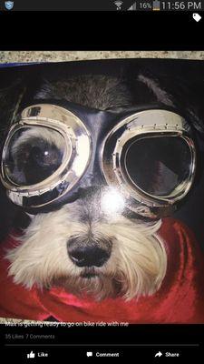 MyInfo70871006's profile picture.