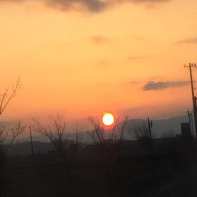 watbokori's profile picture. やっほ!