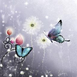 iSandor's profile picture. 