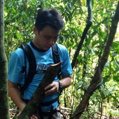 BennyYKL's profile picture. Ecologist - interest on regeneration, resilience and functioning of tropical forests particularly fragmented forests within agriculture landscape.