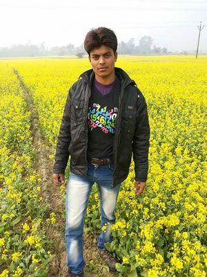 KAMAL02775162's profile picture. 