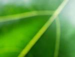ecofriend Profile
