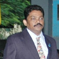 lionsrb2015's profile picture. 