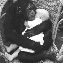 aoulkorchi's profile picture. 