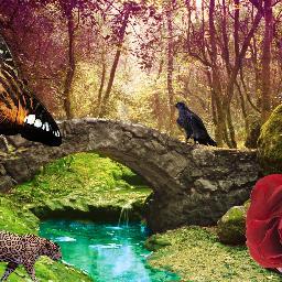 khadijahibatola's profile picture. 