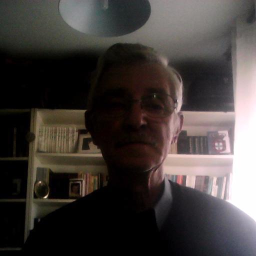 josseqtranslat1's profile picture. Guia-Intérprete Nacional/Tradutor