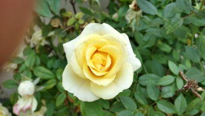 mariace6159's profile picture. 