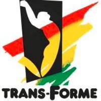 Trans-Forme(@TransFormeDON) 's Twitter Profile Photo