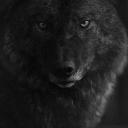 Eddie Phipps - @eddiephipps82 - Twitter