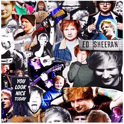 Swiftie♥. Sheerios♥. Dragons♥. Tributo .lll. D12, Tenis, Volley. El fuerte protege al débil.