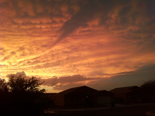 RedDot65's profile picture. 