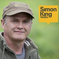 Simon King(@TVsSimonKing) 's Twitter Profileg