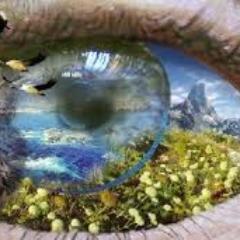 mexico_verd's profile picture. 