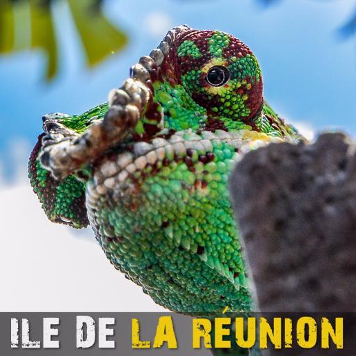 La Réunion