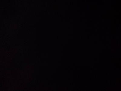 pandacorn1293's profile picture. 