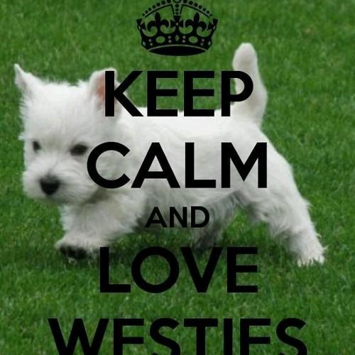 luceritoandme's profile picture. Otoñista Invernista