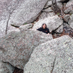 Denise White (@dlwscience) Twitter profile photo Denise White (@dlwscience) Twitter profile photo