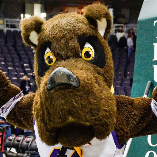 Welcome to the home of the reigning #UAlbany 5-time Clash of the Quads Champions!
