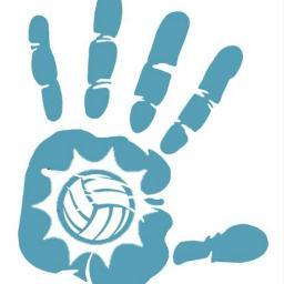 Beachvolleybal, verschillende niveau's, trainingen, vrij spelen, toernooien, zon, strand, gezelligheid allemaal in Zwolle!