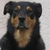 Paul Huddle (@paulhuddle) Twitter profile photo