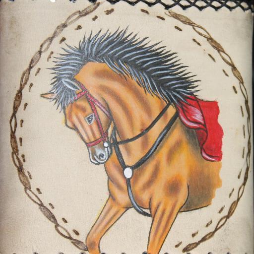 Para jinetes y amantes de los caballos, distribuimos todo lo relacionado con el mundo equino #pasionporloscaballos