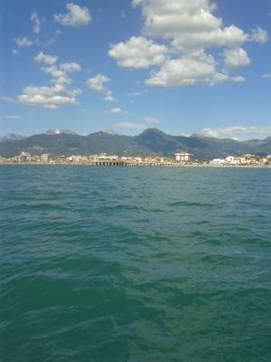 danielegrotti99's profile picture. 