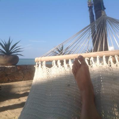 ckareti's profile picture. Gardener, cook, lover of travel.