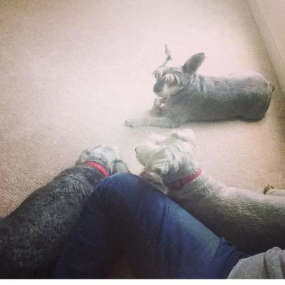 _juliaprobst_'s profile picture. gamer girl tdbppvber❤️