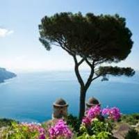 Loraine Lynch-Kelly (@perdita1485) 's Twitter Profile Photo