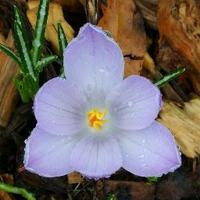 CJ YOON (@cjyoon4) 's Twitter Profile Photo