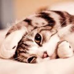 Katedavies3's profile picture. 