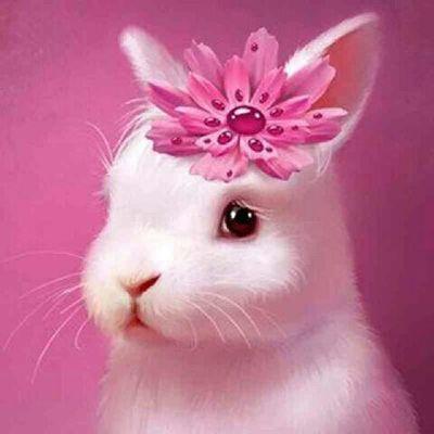 Bajrame3's profile picture. 