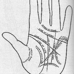 Palm Chart
