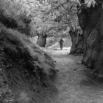 cema09's profile picture. 