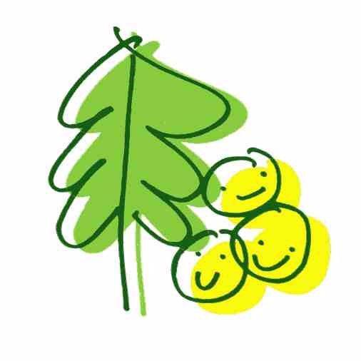 わんぱくらんど 辻村植物公園 Odawara Park Twitter