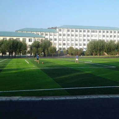 AmberBai1990's profile picture. This is Amber from CNBM, which is professional WPC decking for more than 10 years.