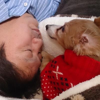 プランニングオフィス 合同会社A&By代表社員CEO。
南海時代からのホークスファンです。50年以上栄枯盛衰を見てきました。関西大学卒
