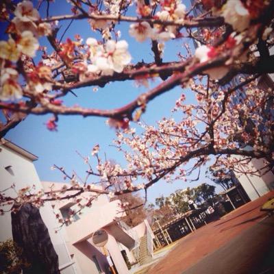 南九州大学宮崎キャンパス学友会 Mku Gakuyukai Twitter 南九州大学宮崎キャンパス学友会 Mku Gakuyukai Twitter