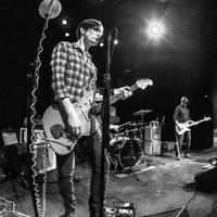 Casey J Virock (@thebunnyfan) 's Twitter Profile