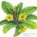 Primrose Deli (@primrosedeli) Twitter profile photo Primrose Deli (@primrosedeli) Twitter profile photo